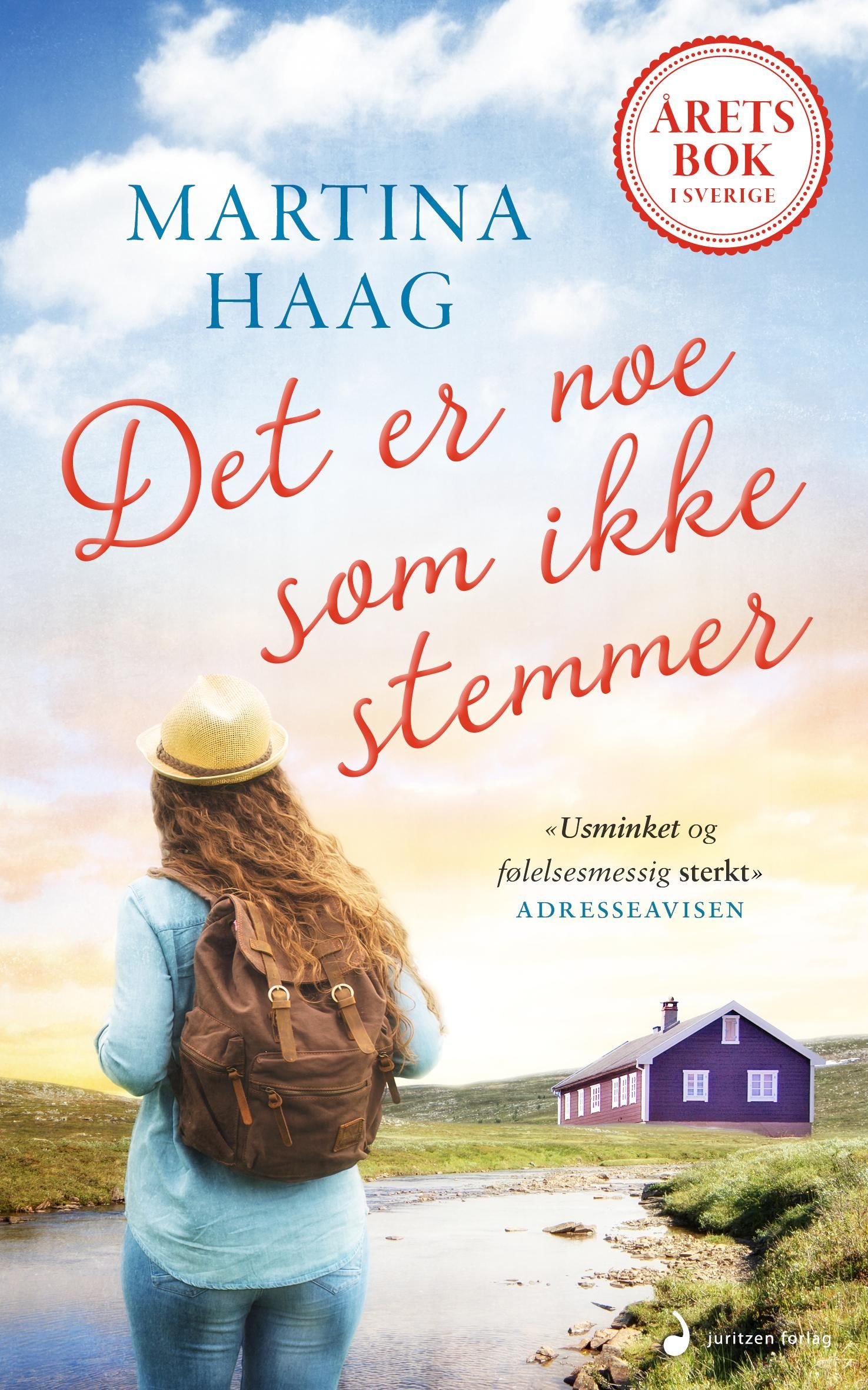 Det er noe som ikke stemmer - roman