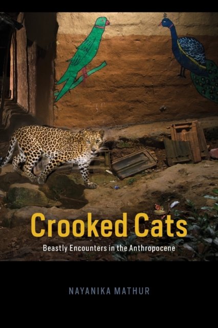 Crooked Cats – Beastly Encounters in the Anthropocene