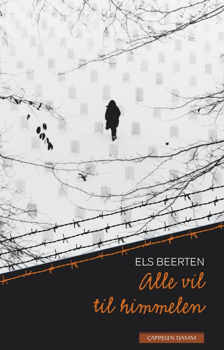 Alle vil til himmelen