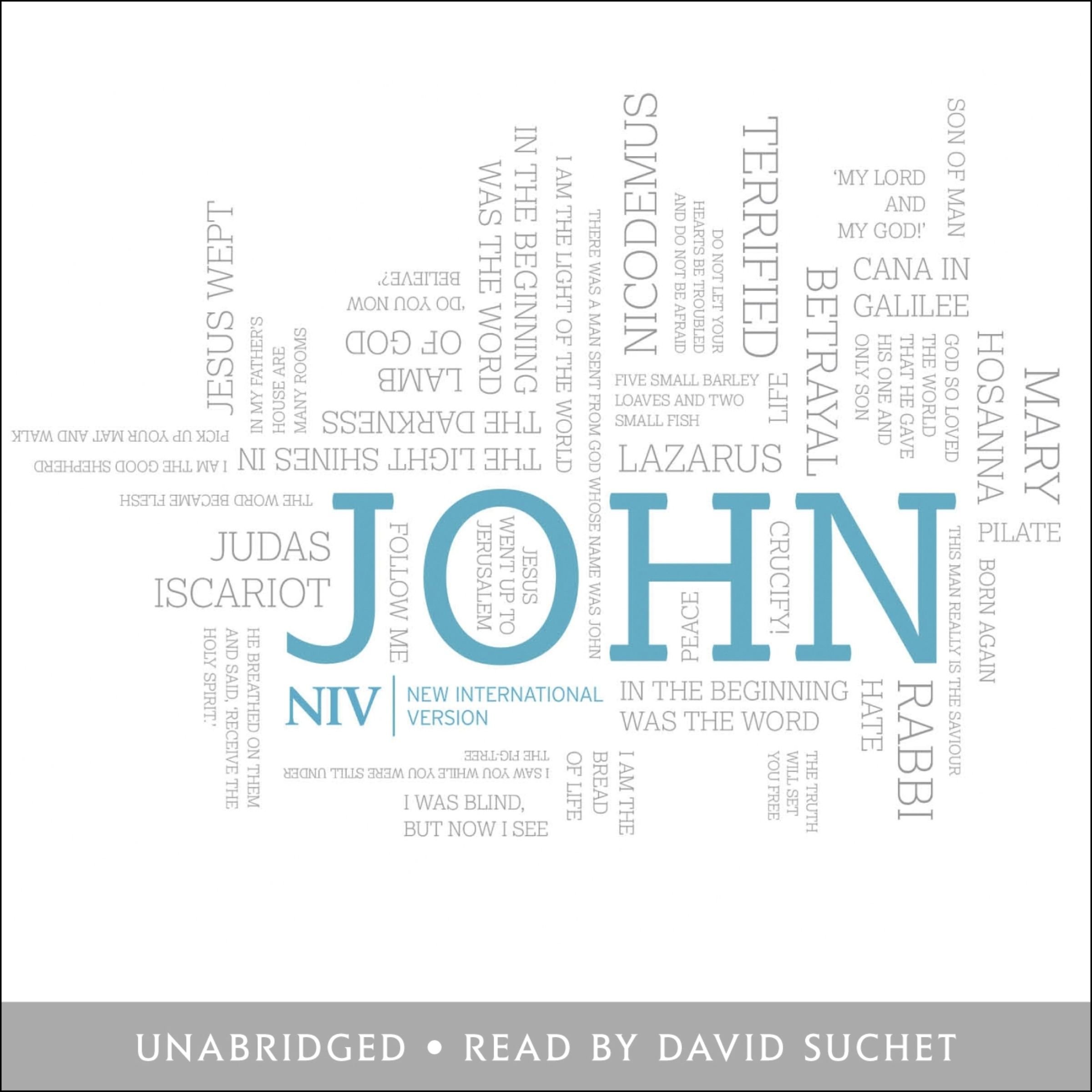 NIV Gospel of John