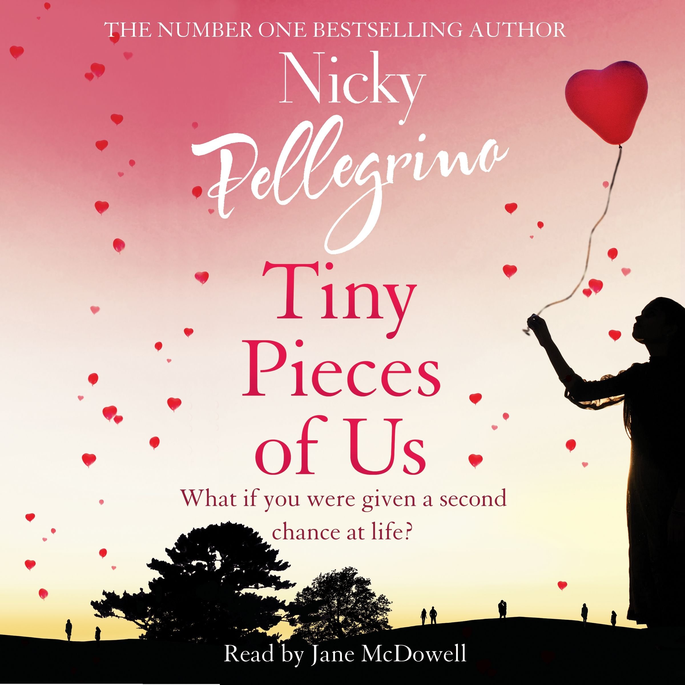 Tiny Pieces of Us