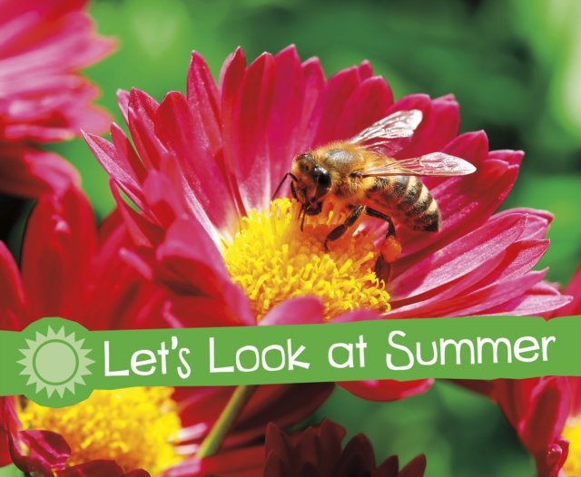 Let''s Look at Summer