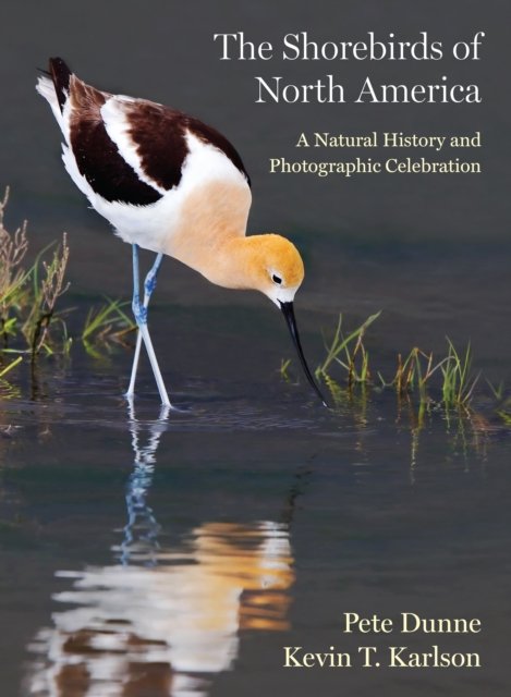 The Shorebirds of North America – A Natural History and Photographic Celebration
