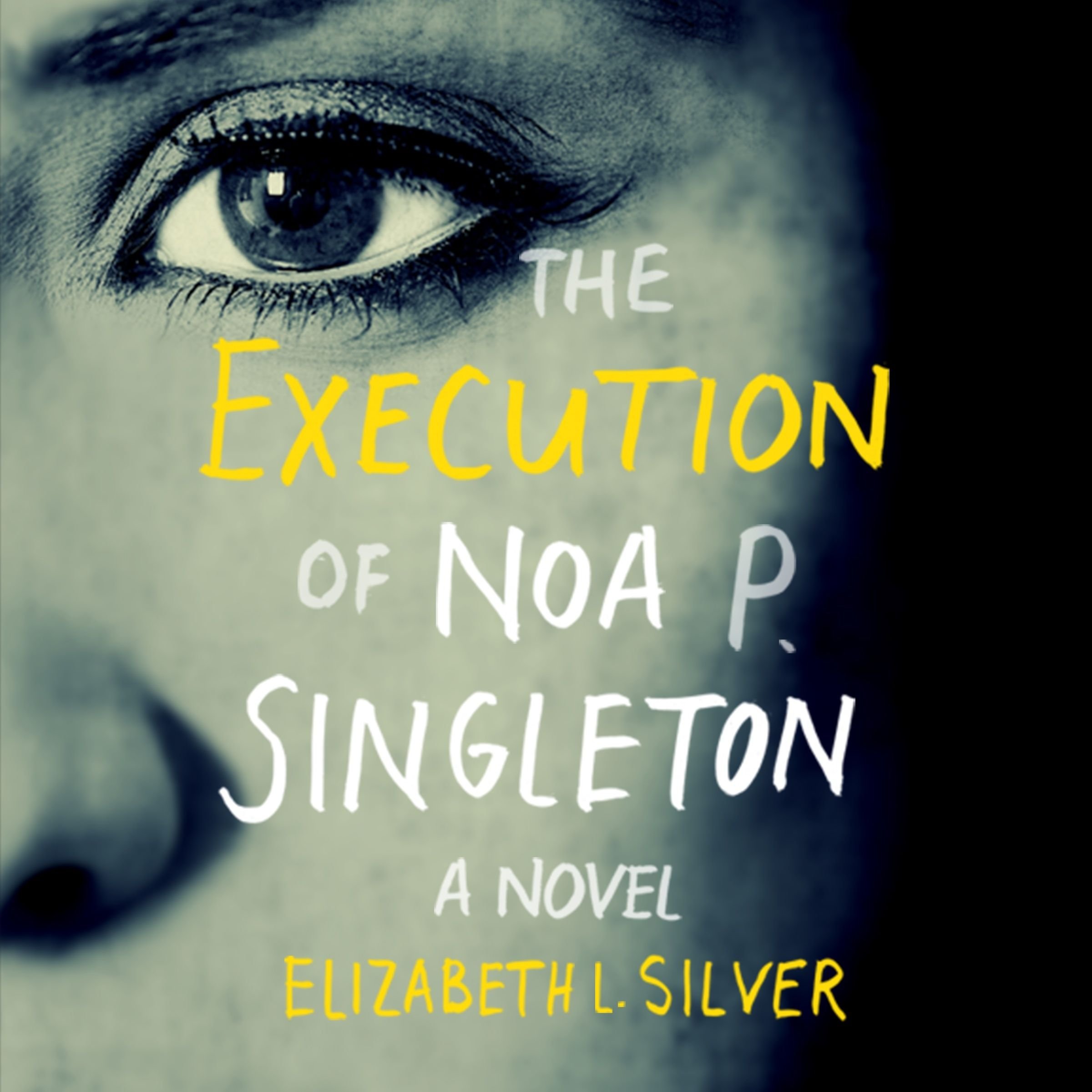 The Execution of Noa P. Singleton
