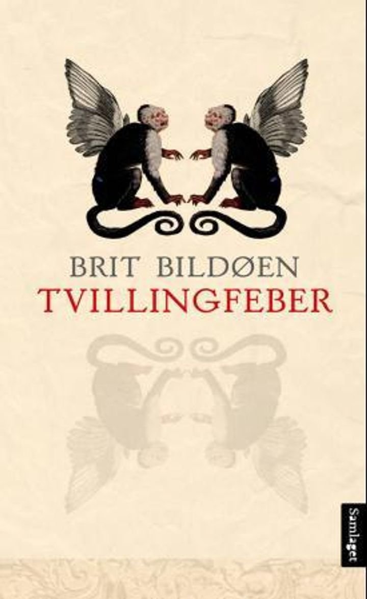 Tvillingfeber - roman