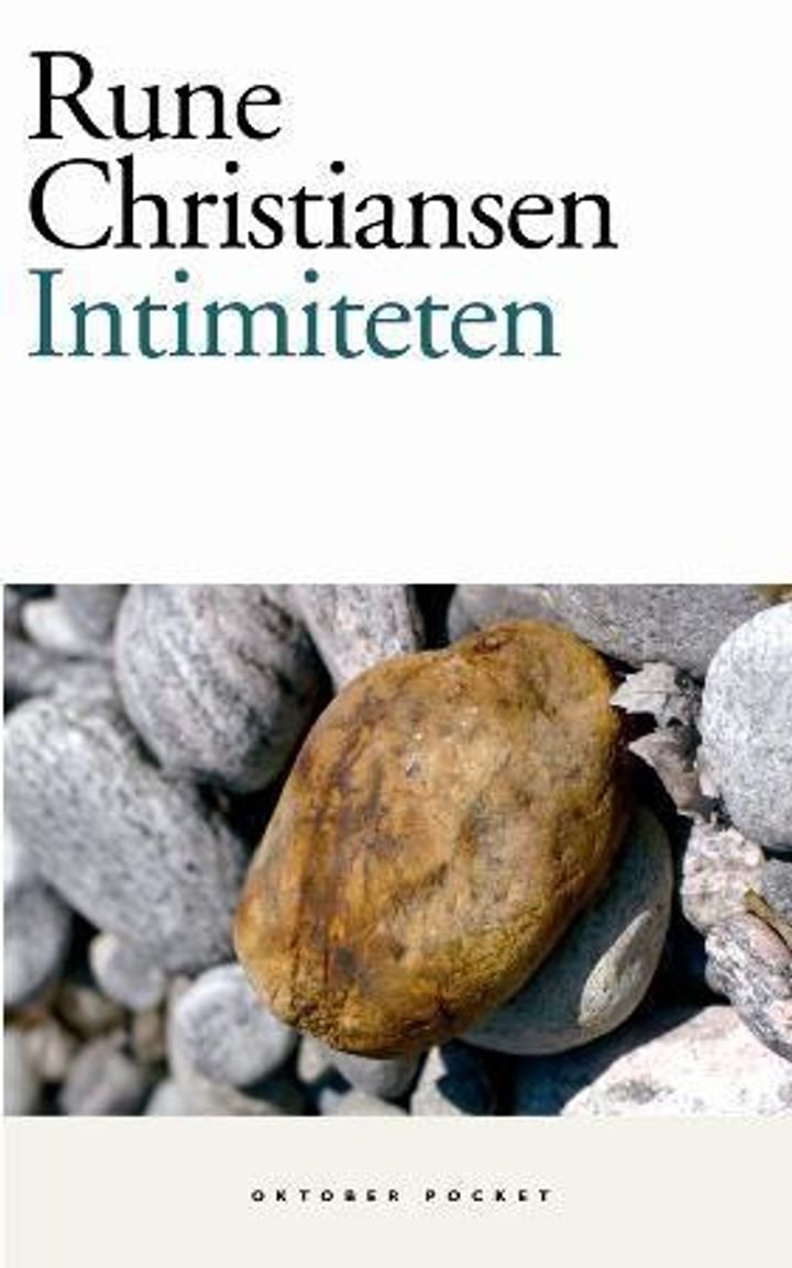 Intimiteten - roman