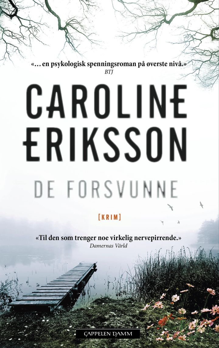 De forsvunne