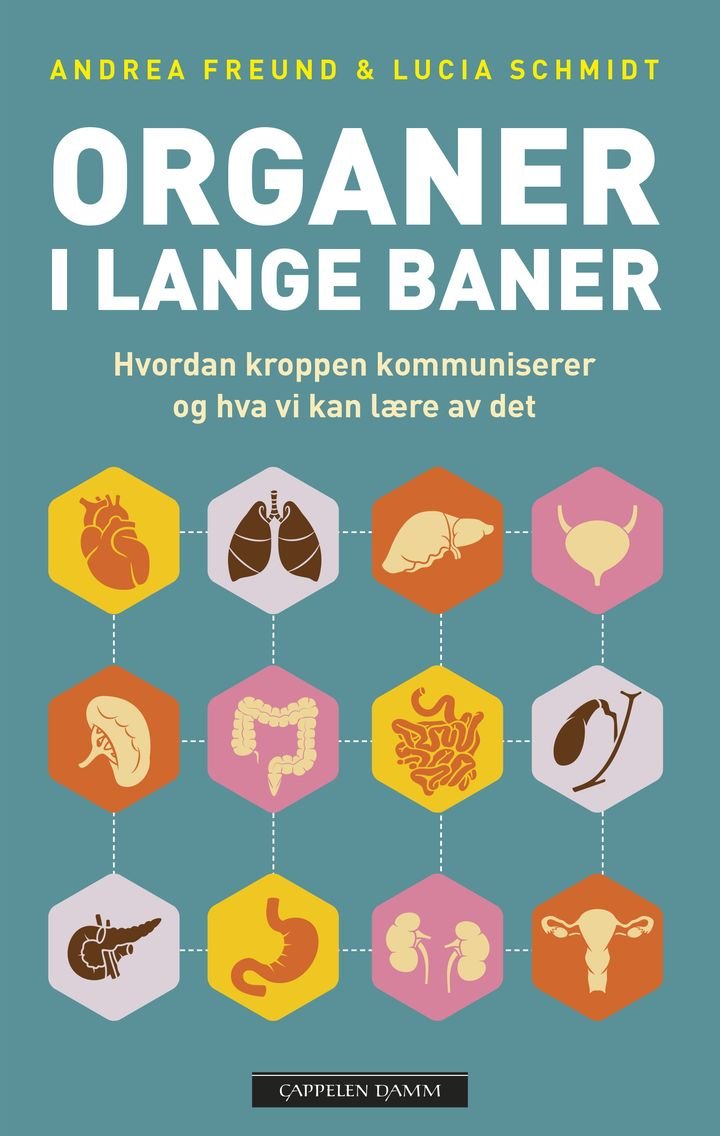 Organer i lange baner - hvordan kroppen kommuniserer og hva vi kan lære av det