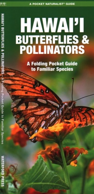 Hawai''i Butterflies and Pollinators