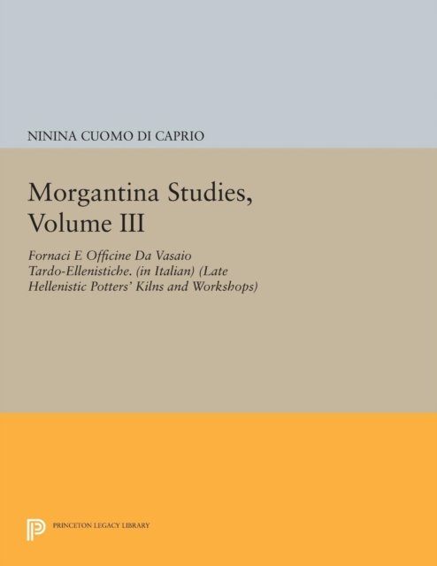 Morgantina Studies, Volume III