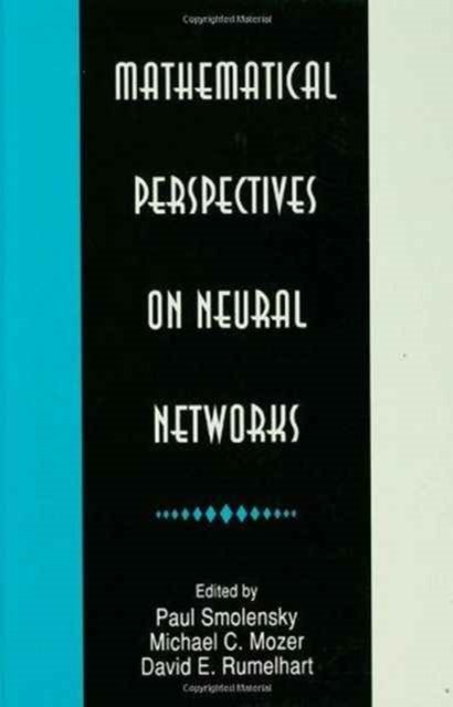 Mathematical Perspectives on Neural Networks