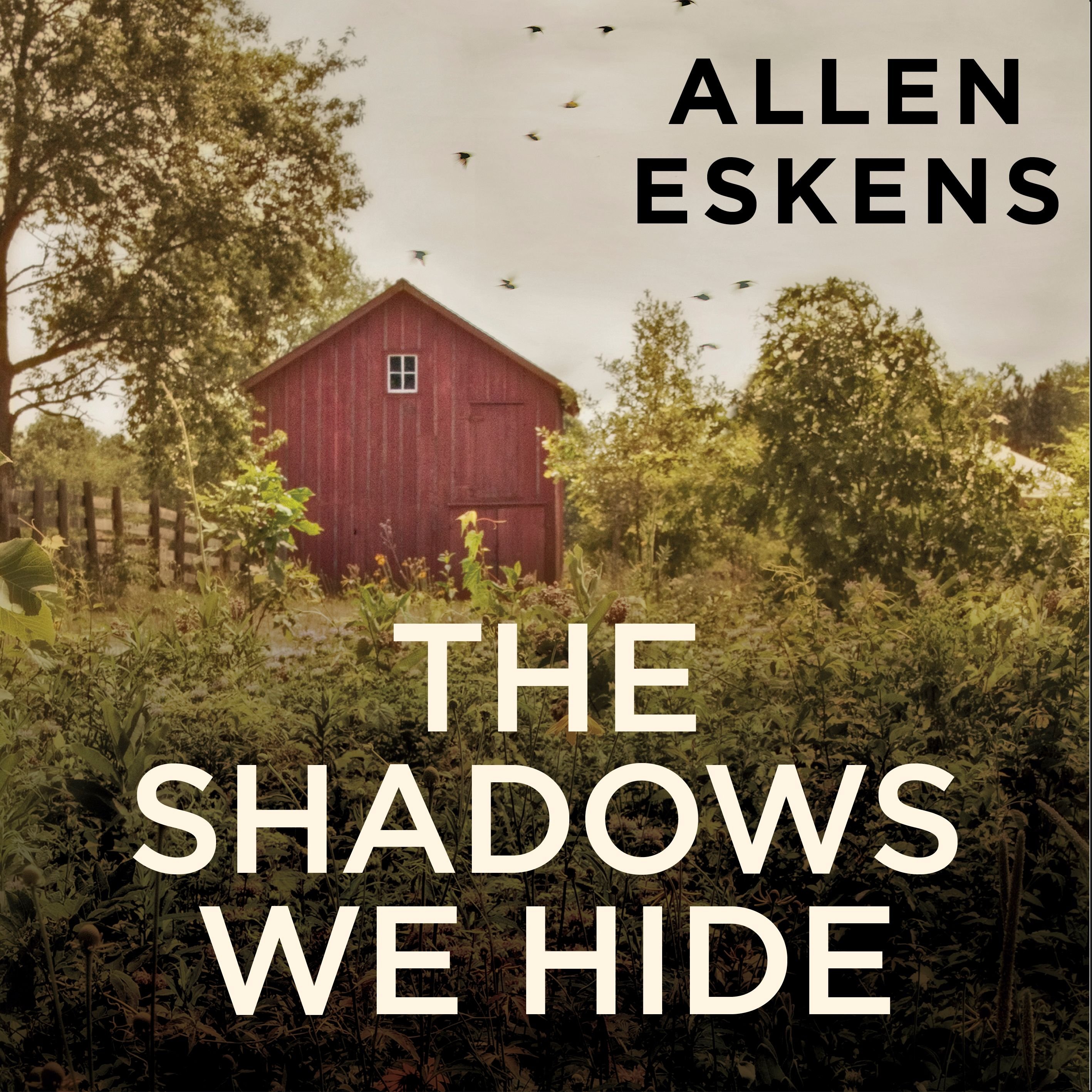 The Shadows We Hide