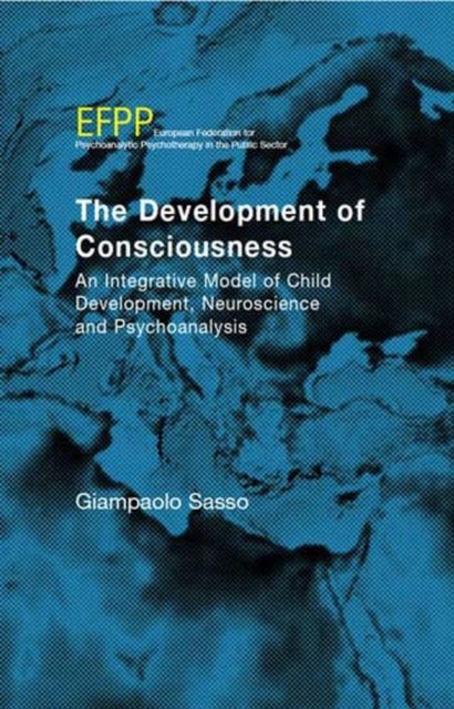 The Development of Consciousness