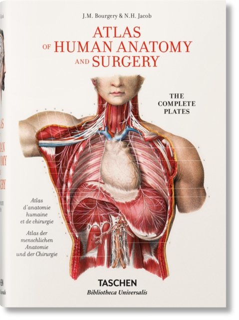 Bourgery