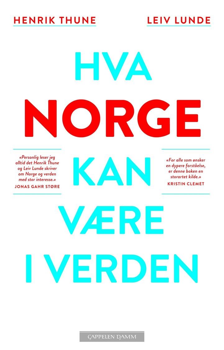 Hva Norge kan være i verden