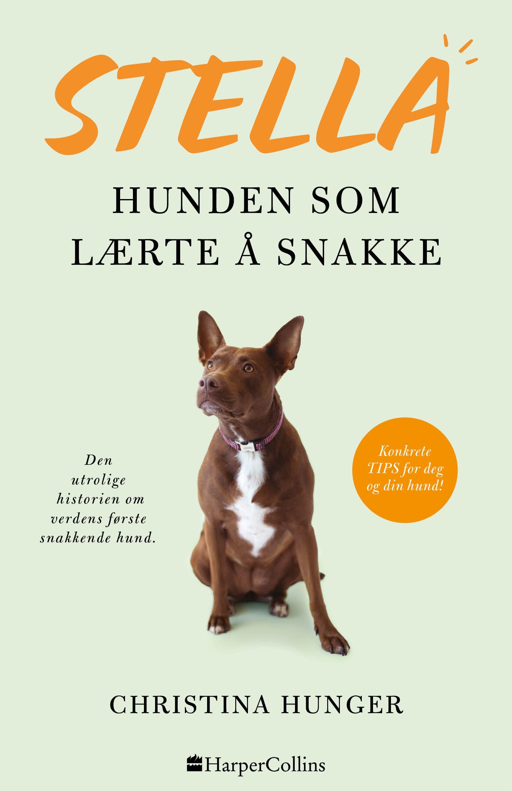 Stella - hunden som lærte å snakke