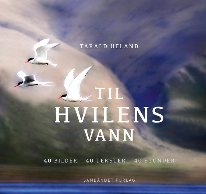 Til hvilens vann - 40 bilder - 40 tekster - 40 stunder