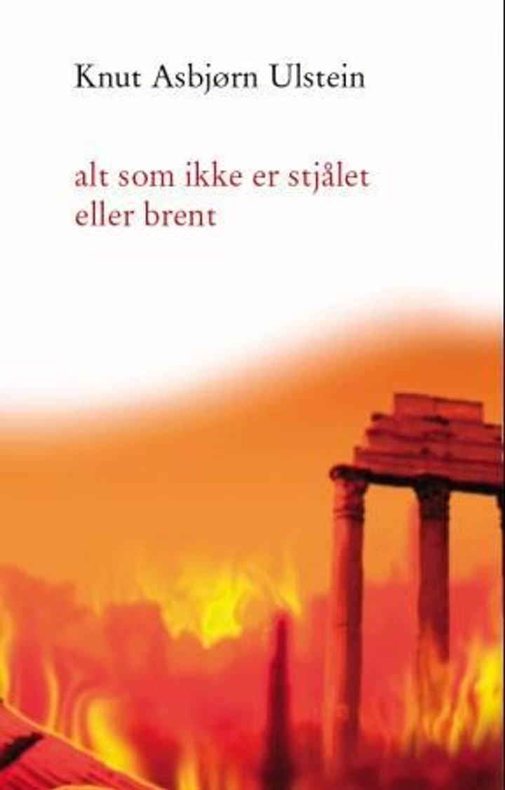 Alt som ikke er stjålet eller brent - roman