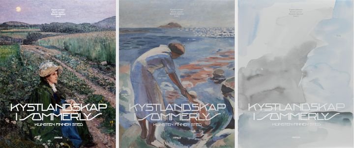 Kystlandskap i sommerlys - kunsten finner sted