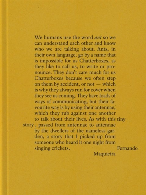Fernando Maquieira: A Tiny Story