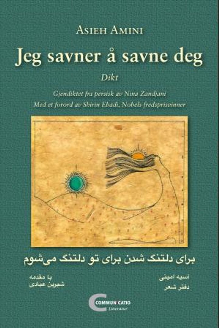 Jeg savner å savne deg