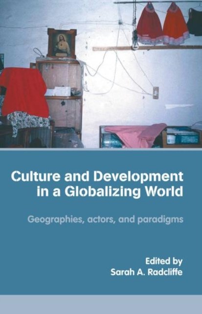 Culture and Development in a Globalizing World