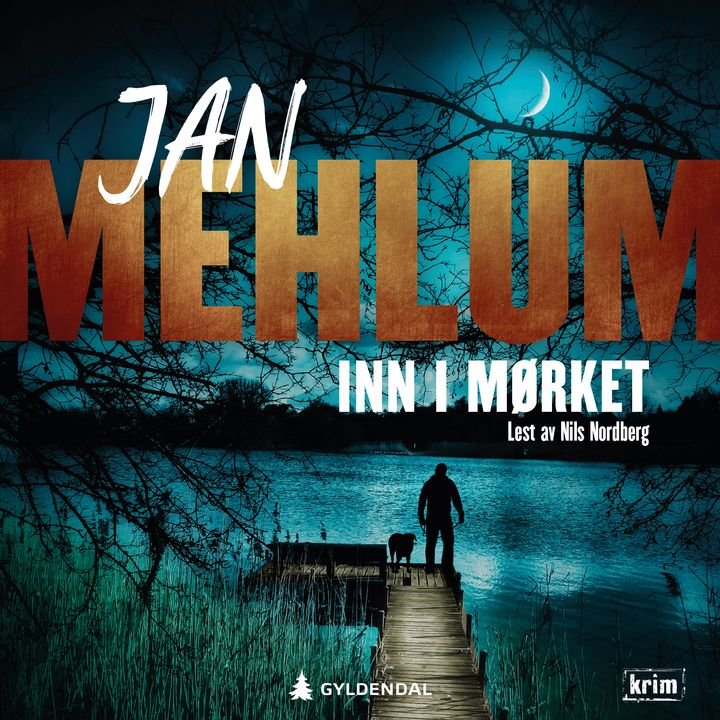 Inn i mørket - kriminalroman