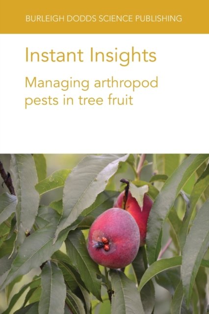 Instant Insights