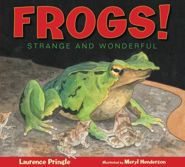 Frogs!