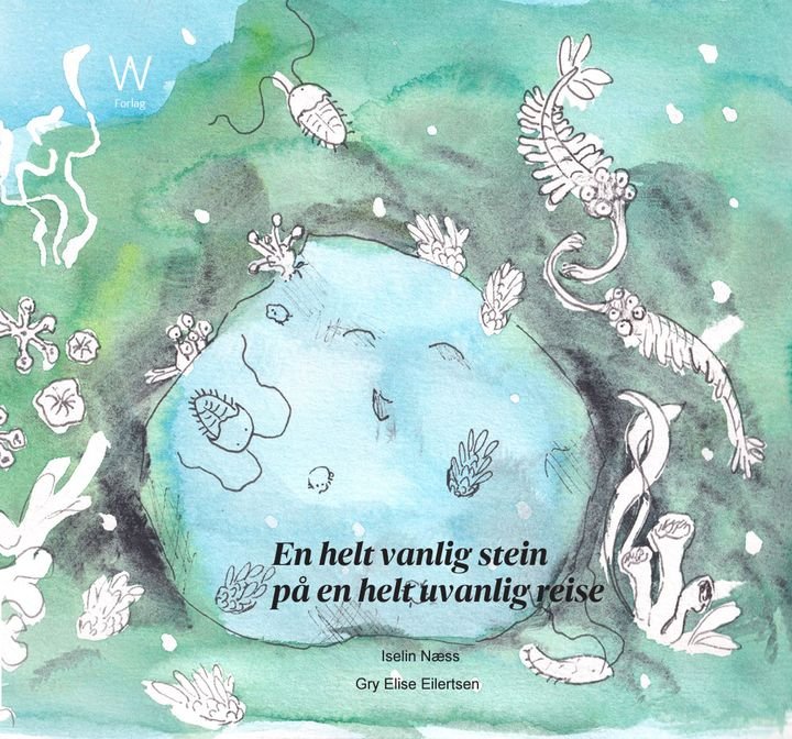 En helt vanlig stein på en helt uvanlig reise