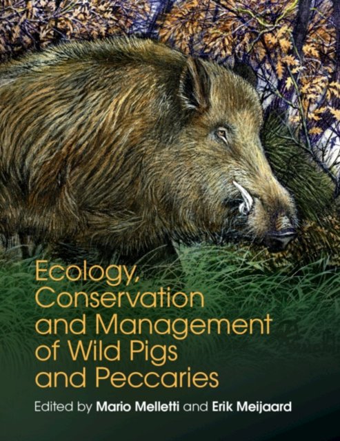 Ecology, Conservation and Management of Wild Pigs and Peccaries
