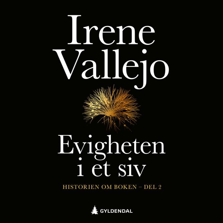 Evigheten i et siv - Del 2 : historien om boken
