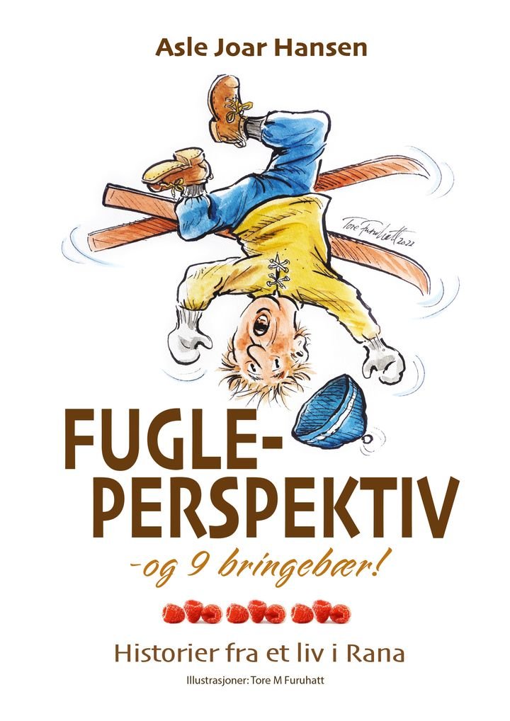 Fugleperspektiv og 9 bringebær - historier fra et liv i Rana