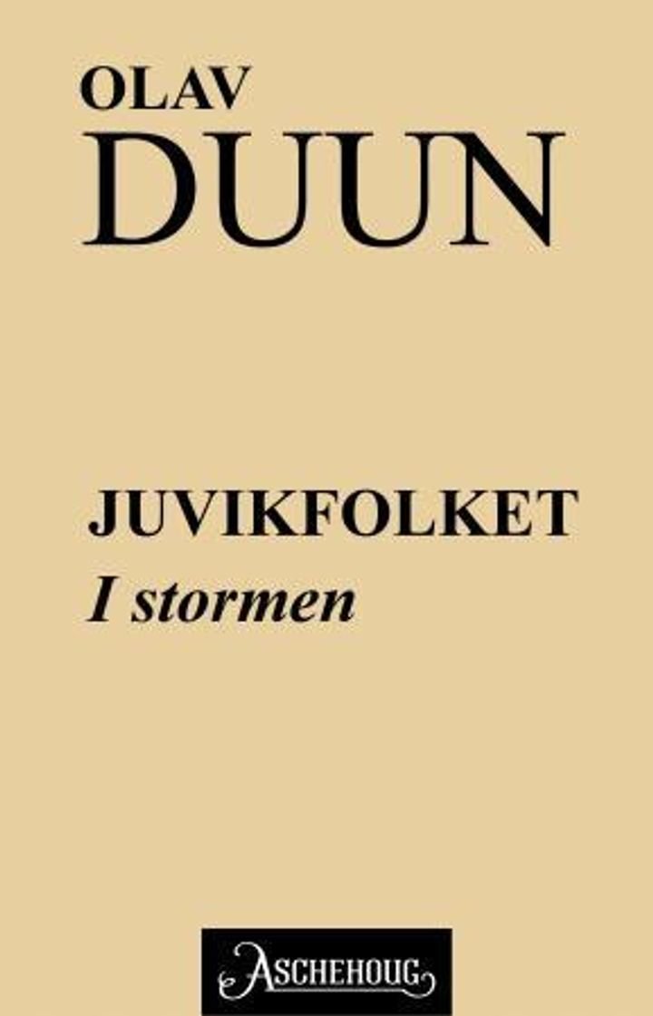 I stormen