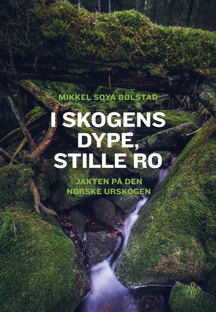I skogens dype, stille ro - jakten på den norske urskogen