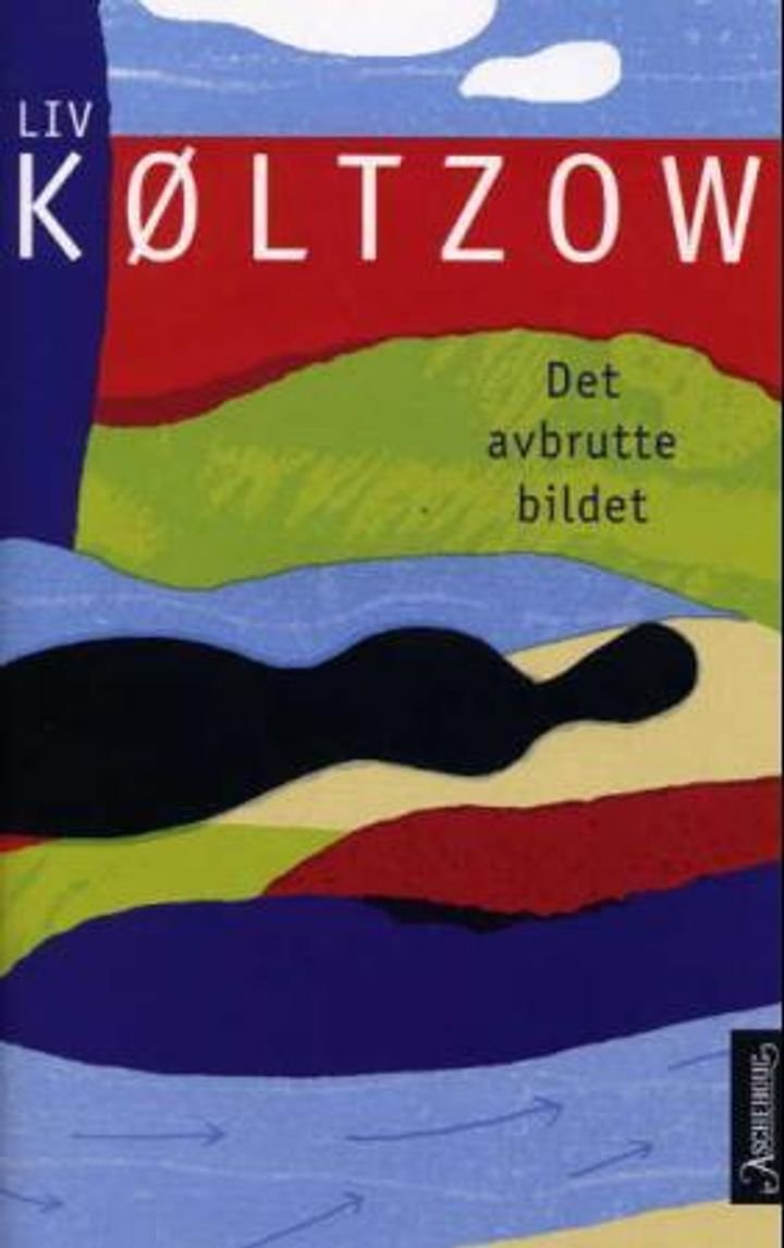 Det avbrutte bildet - roman
