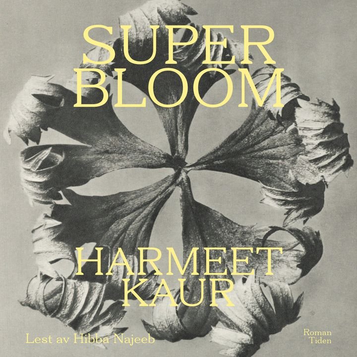 Superbloom