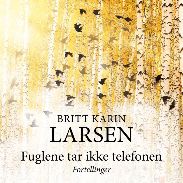 Fuglene tar ikke telefonen - fortellinger