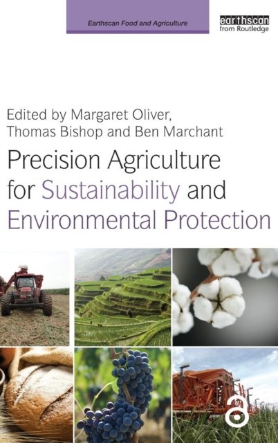 Precision Agriculture for Sustainability and Environmental Protection