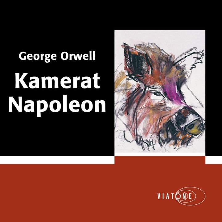 Kamerat Napoleon