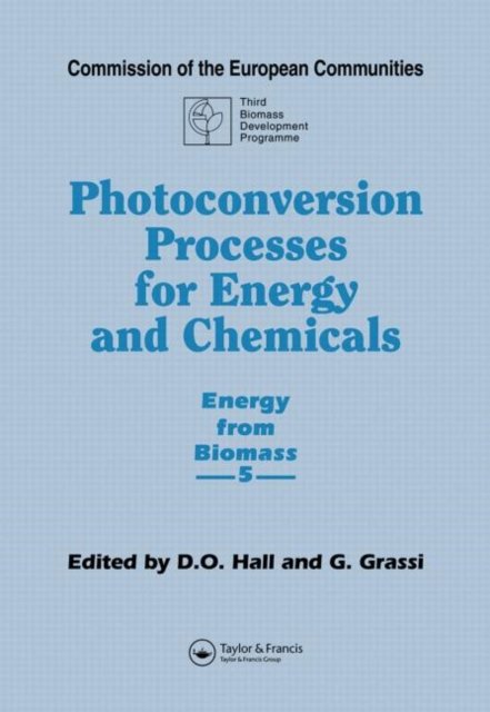 Photoconversion Processes for Energy and Chemicals