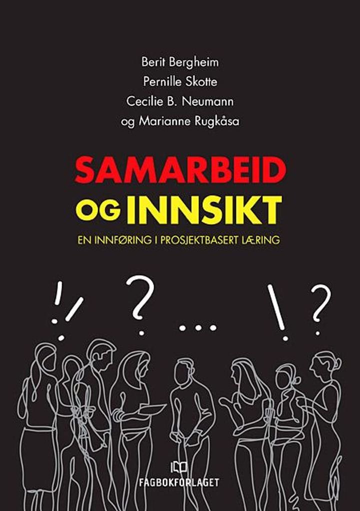 Samarbeid og innsikt - en innføring i prosjektbasert læring