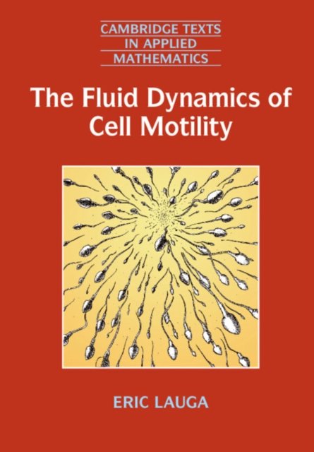 The Fluid Dynamics of Cell Motility