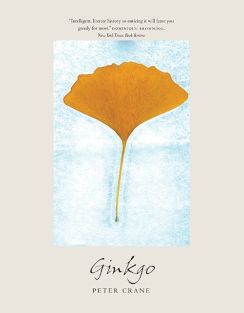 Ginkgo – The Tree That Time Forgot