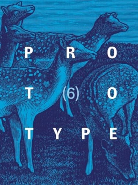 PROTOTYPE 6