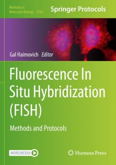 Fluorescence In Situ Hybridization (FISH)