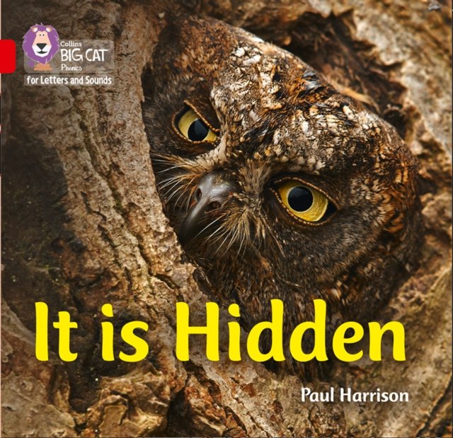 BIG CAT PHONICS - IT IS HIDDEN