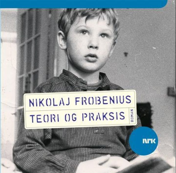 Teori og praksis - roman