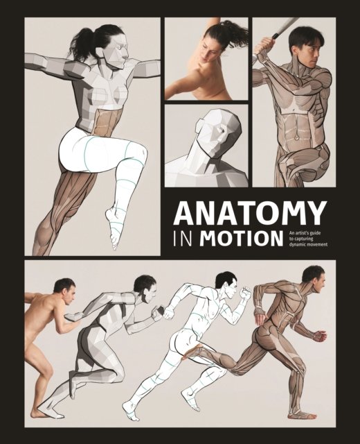 Anatomy in Motion