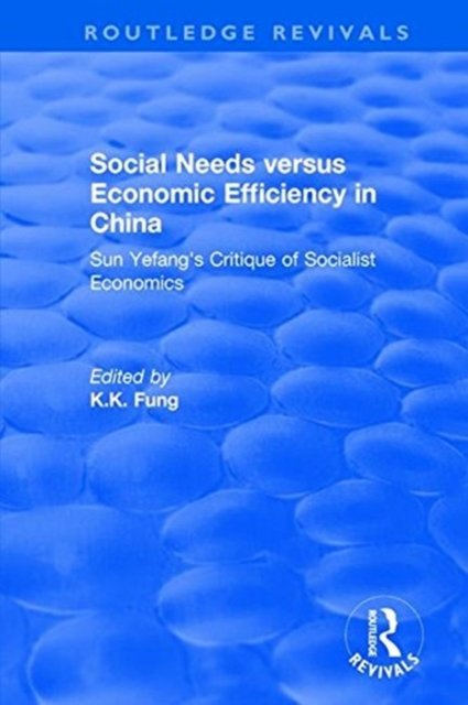 Social Needs Versus Economic Efficiency in China